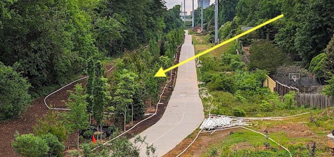 Photos: An "instant forest" has sprouted on the #Atlanta BeltLine.   atlanta.urbanize.city/post/beltline-…