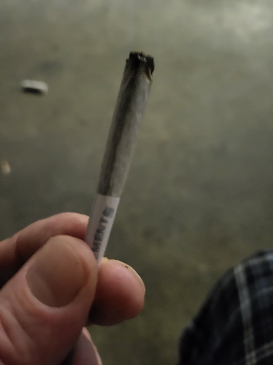FrankShealyJr1's tweet photo. Strawberry Titty Sprinkles for the wake and bake. Usually better in pairs π€£ππ #cannabis #Alaskahighlife #AWBB #caryophyllene #hybrid #GW https://t.co/0xCrc8mICz