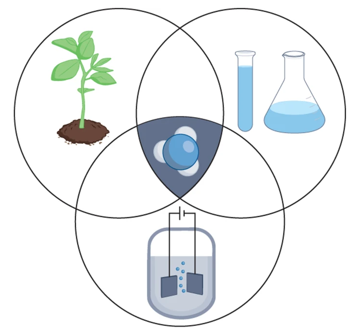 NatRevChem's tweet photo. @stephgreed @NatureCatalysis @UniFreiburg For more on nitrogenases and what we can learn by translating insights across different dinitrogen fixation approaches, check out our recent Review article:

Near ambient N2 fixation on solid electrodes versus enzymes and homogeneous catalysts

https://t.co/p4l4pHGgLz https://t.co/Hzega8Sjo5