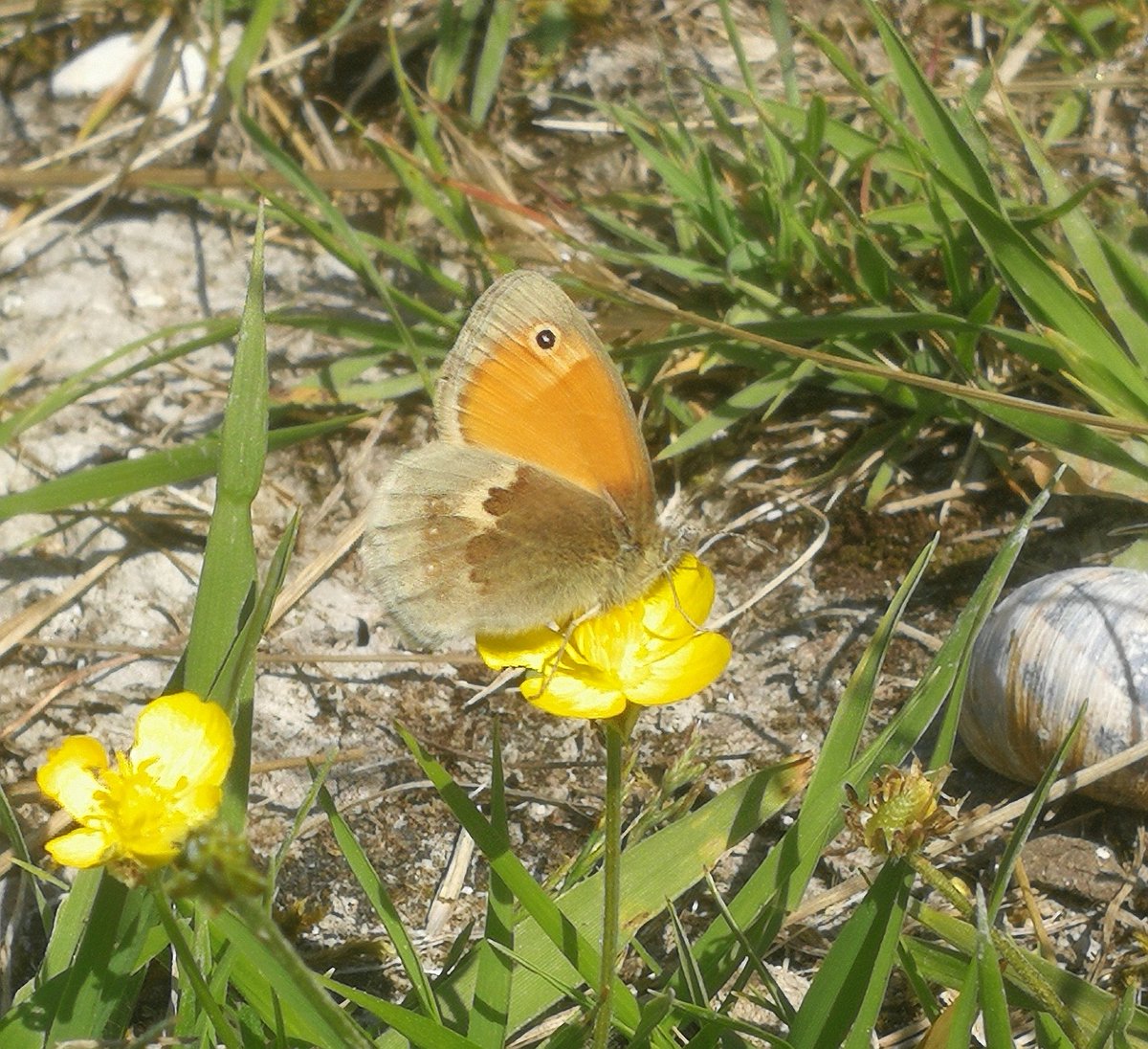 Martin Warren tweet media