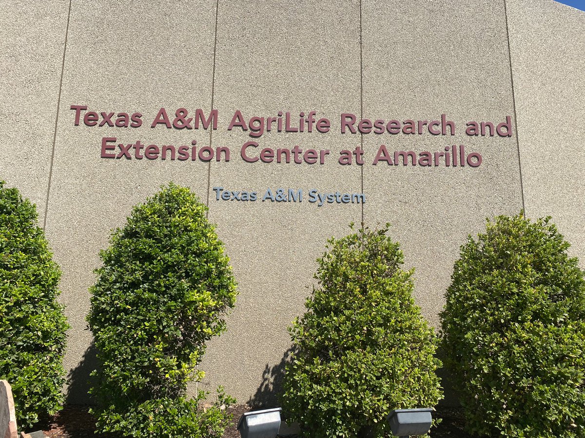 Swas Kaushal tweet media