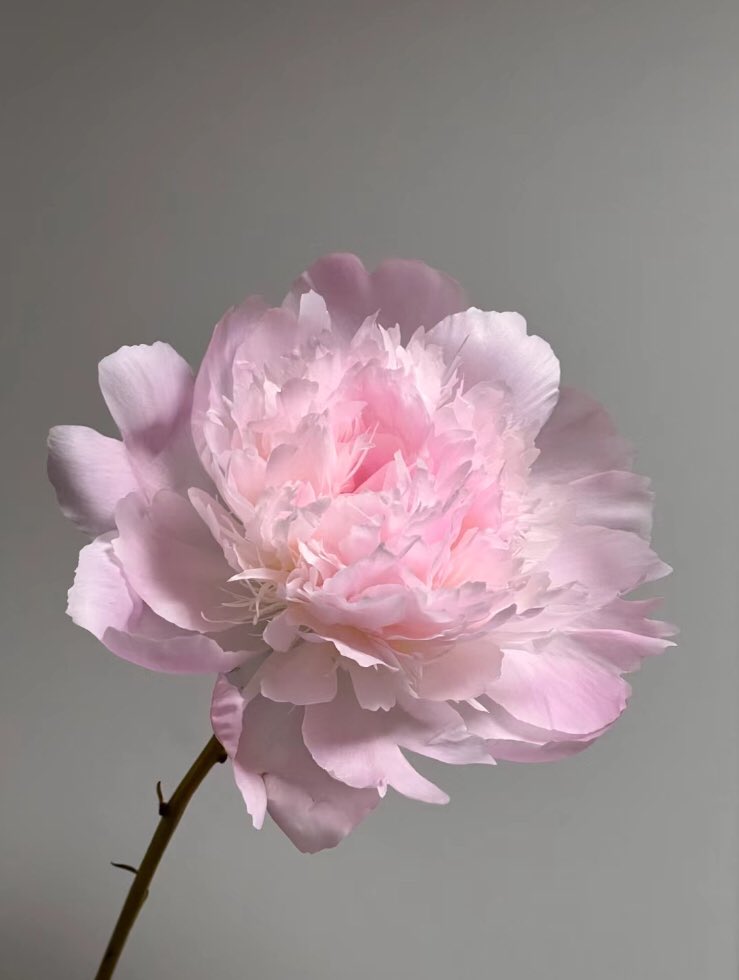 pretty <3