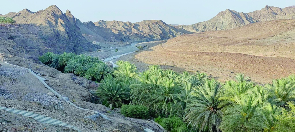 «حيل الأشخريين» بصحار.. مناظر خلابة بين أحضان الطبيعة 
#جريدة_عمان
omandaily.om/article/1138860