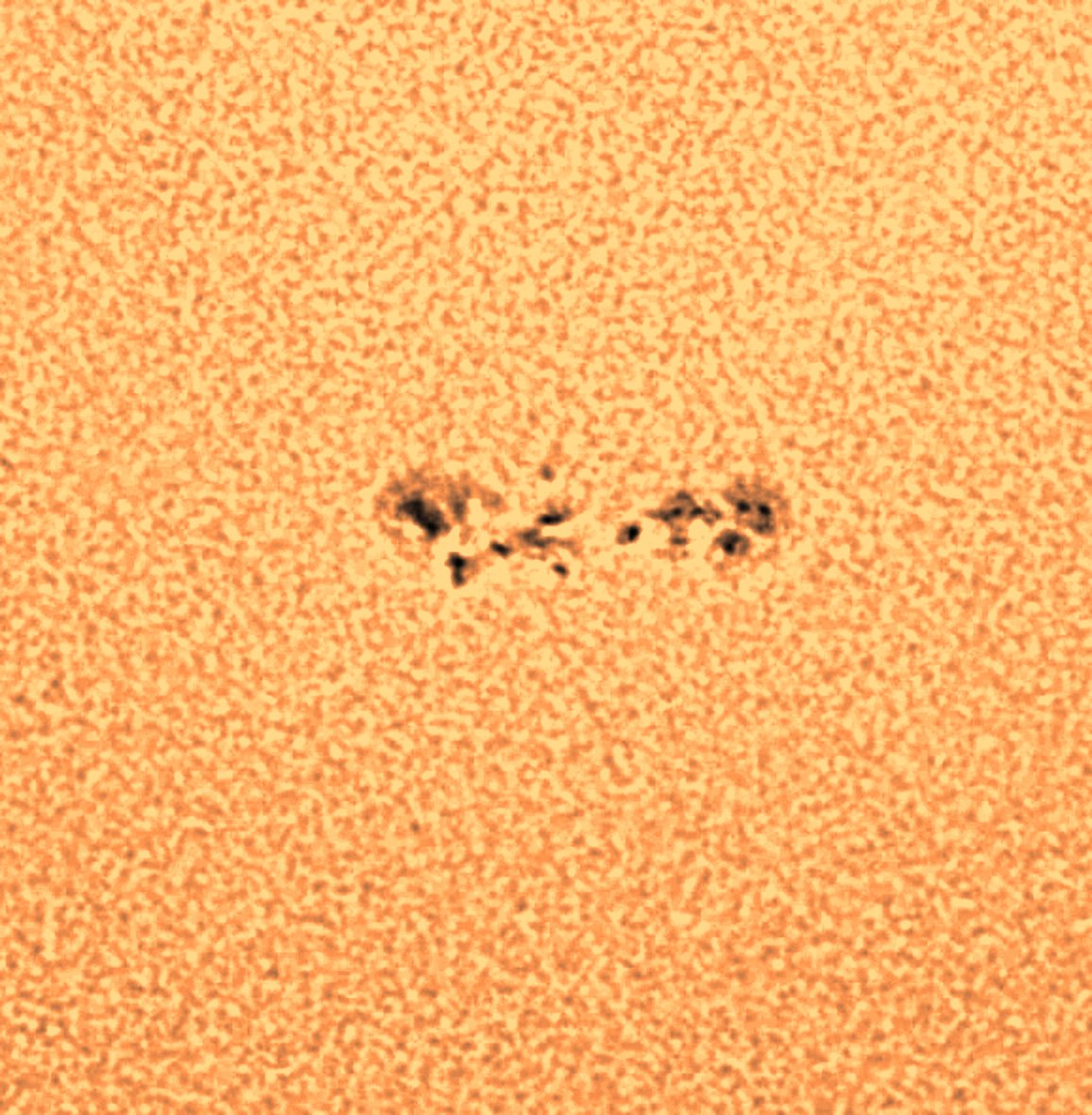 PeterLewis55's tweet photo. The Sun is spectacular at the moment. Since I checked on Monday, another region has developed and now there are 7 groups and 66 sunspots pointing to Earth. Zooming in it looks like a 15 year old! @StormHour @ThePhotoHour #astronomy #astrophotography #solarflares Details 👇 1/2 https://t.co/EFrcUmn0av