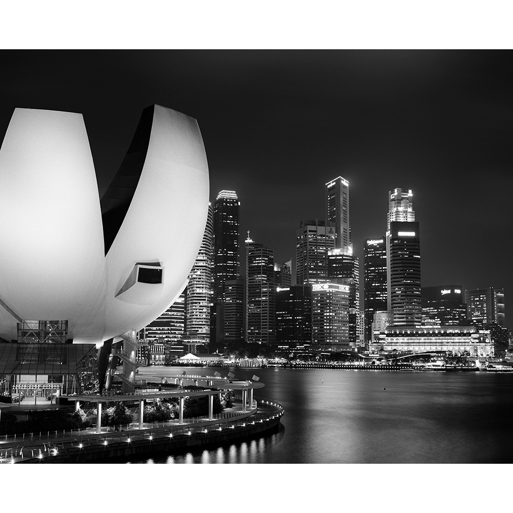 It's time for another Film Friday! This week we are bringing you perhaps the most famous film of all time: Kodak Tri-X!⁠
⁠
While the selection of BW films these days is truly incredible, we could spend a whole life using nothing but Tri-X &amp; loving every day of it.⁠
⁠