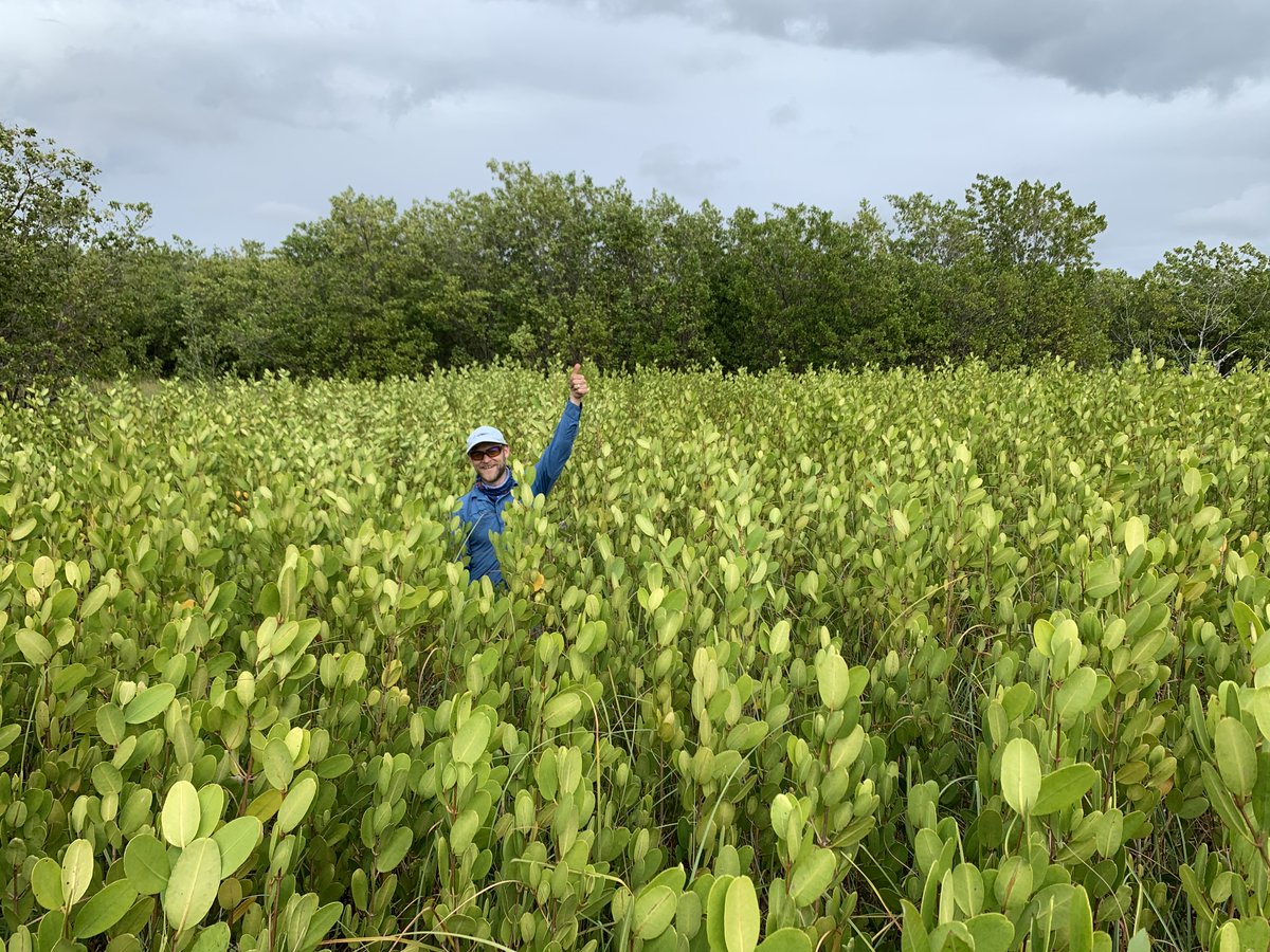 Why #wetlands? USGS' Mike Osland: Coastal wetlands are dynamic, captivating ecosystems. Beyond being scientifically curious about coastal wetlands, one of the reasons I study them is to safeguard their societal benefits for current and future generations #AmericanWetlandsMonth