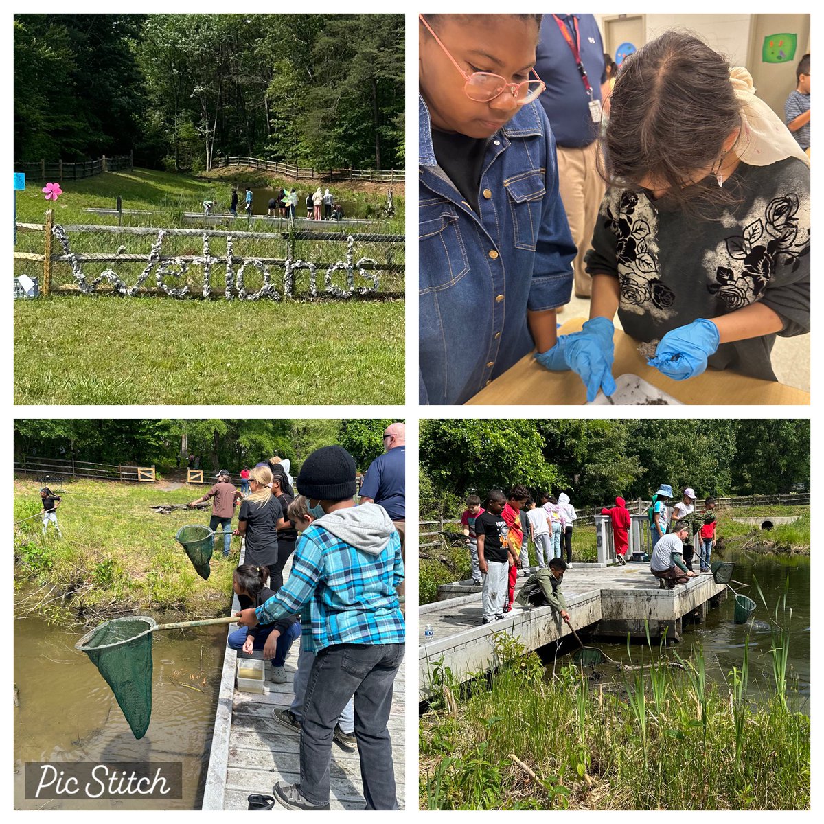 Wetlands Day at Middleton Elementary School! Students saw live raptors, dissected owl pellets, and explored several wetland stations. 🐢🐟🌼🦋🦉<a href="/AMES_Principal/">Arthur Middleton ES</a> <a href="/AMESeinsteins/">Middleton Science</a> <a href="/nanjemoycreek/">NCEEC</a> <a href="/CCPS/">Charles County Public Schools</a>
