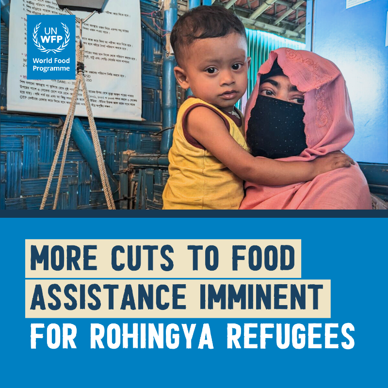 United Nations tweet media