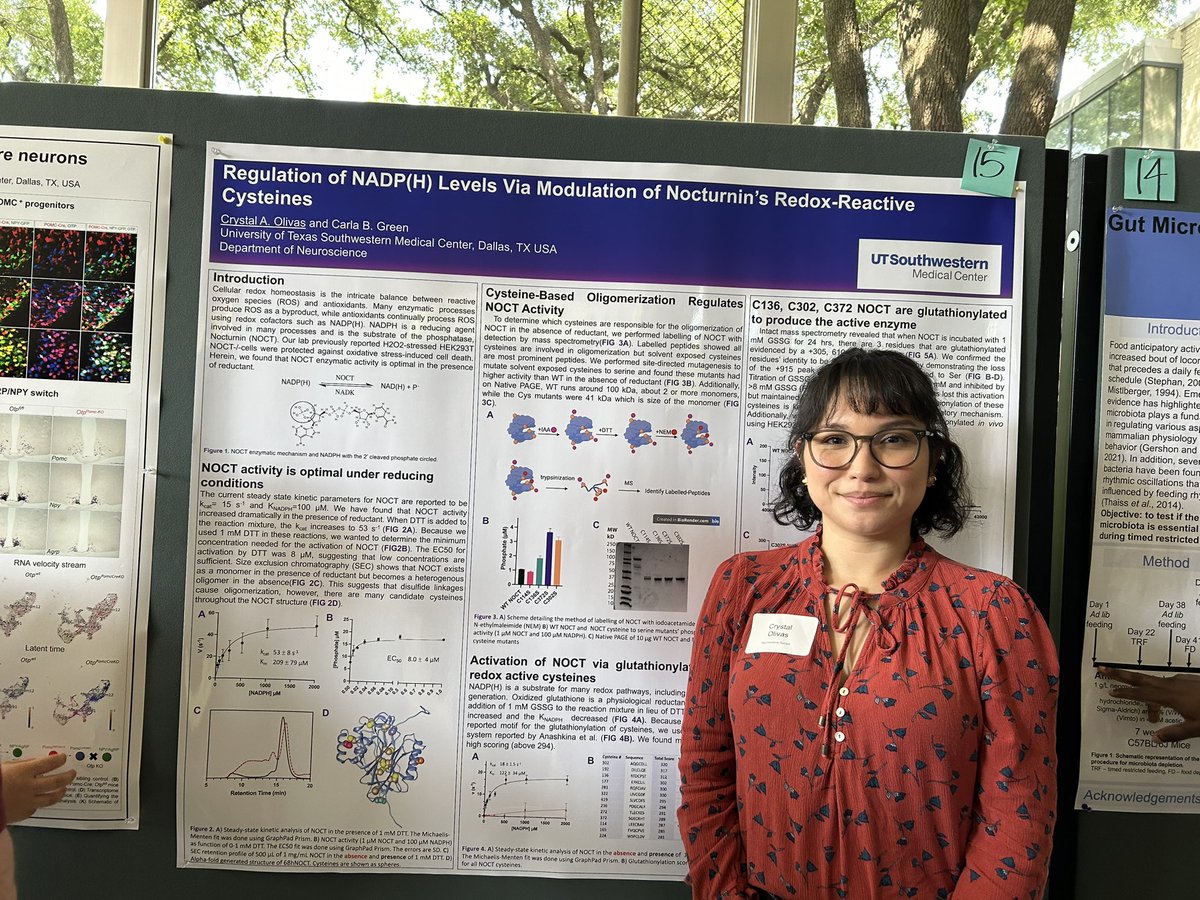 One of our amazing postdocs, Crystal Olivas, is presenting her research at the UT Southwestern Neuroscience retreat. Stop by to hear more about her project!