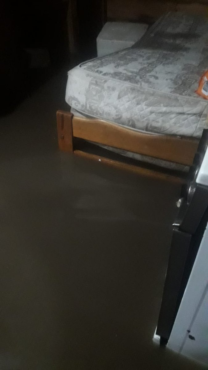 BLibresdelsur's tweet photo. Esto sucede en Quilmes, Lomas de Zamora, Florencio Varela... y tantos otros distritos del conurbano bonaerense #RealidadVsRelato

👊🏼 Subamos las fotos!

😡 Vergüenza debería darles a quienes nos gobiernan y gobernaron.
#HayQueEcharlosConLosVotos
#JesusPresidente https://t.co/p1OFspMF0x