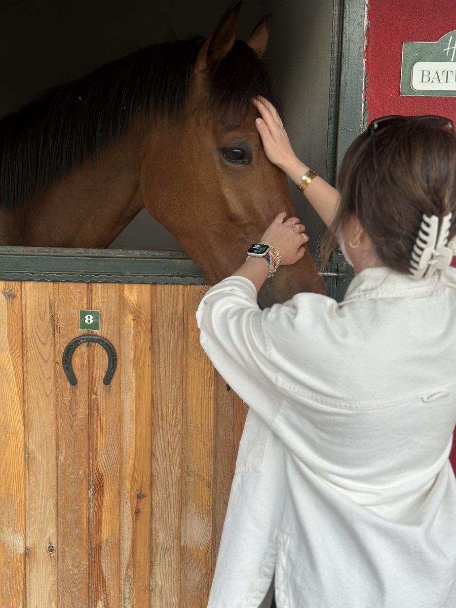 seymakdinn's tweet photo. A S İ L🐴 https://t.co/c1KqR63JN4