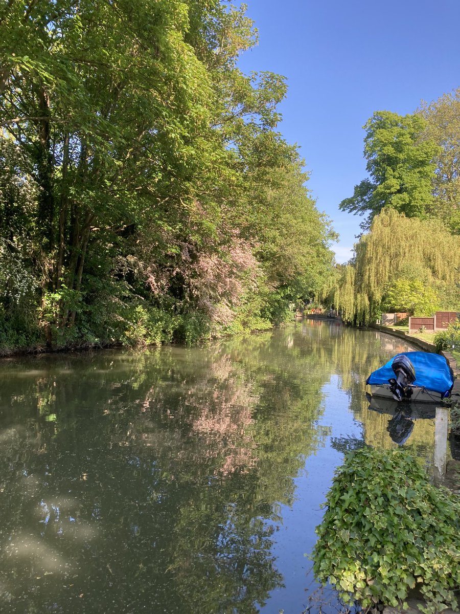 Now it looks and feels as if summer has actually arrived on the Stort Navigation at #Roydon