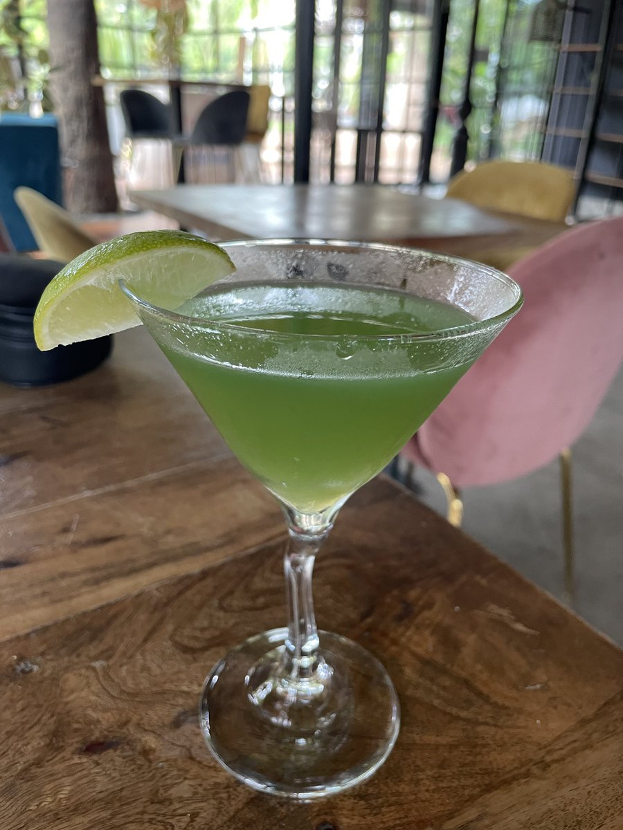 Cyanobacteria cocktail!! 🍹 😋😋