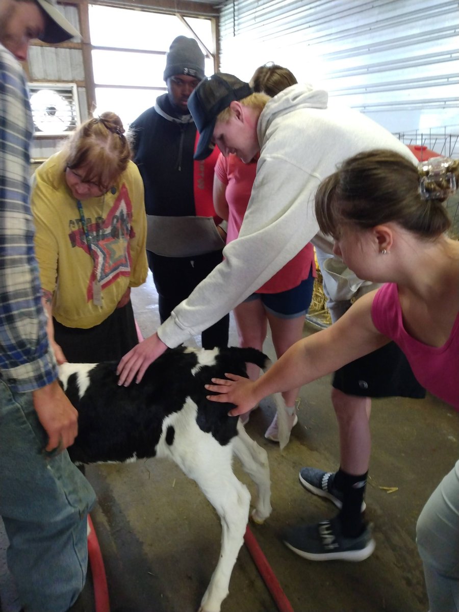 We are so proud to see our students connecting with our community! A special 'thank you' to Tyler Beck from Beck Farms in Freeville for giving Career Skills students a tour of the dairy farm and exploration of the types of employment available in the Dairy industry. #BOCESproud