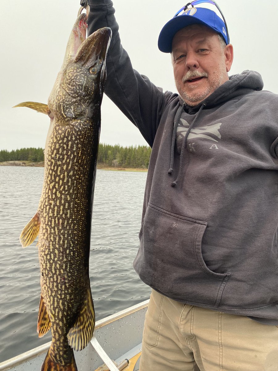 Couple more of the big Northern I caught on the trip to Manitoba this year. 43 inch and 41 inch. Healthy fish in the lake. 
#manitoba
 #catchandrelease 
#northernpike