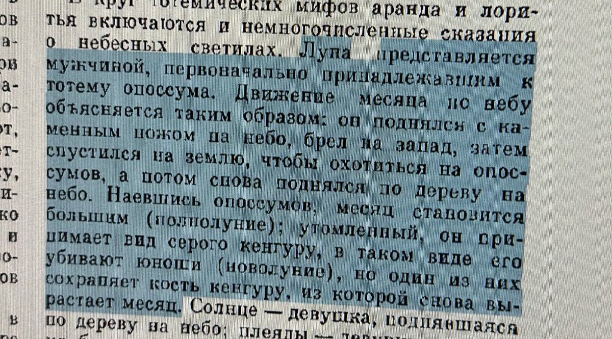Elf__Chi's tweet photo. Полная луна сыта опоссумами https://t.co/Y8rvG4RkTf
