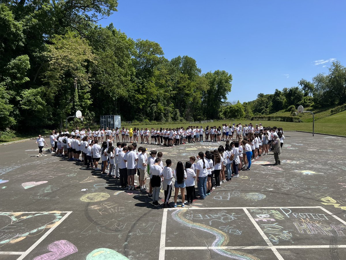 Tyler Mecozzi tweet media