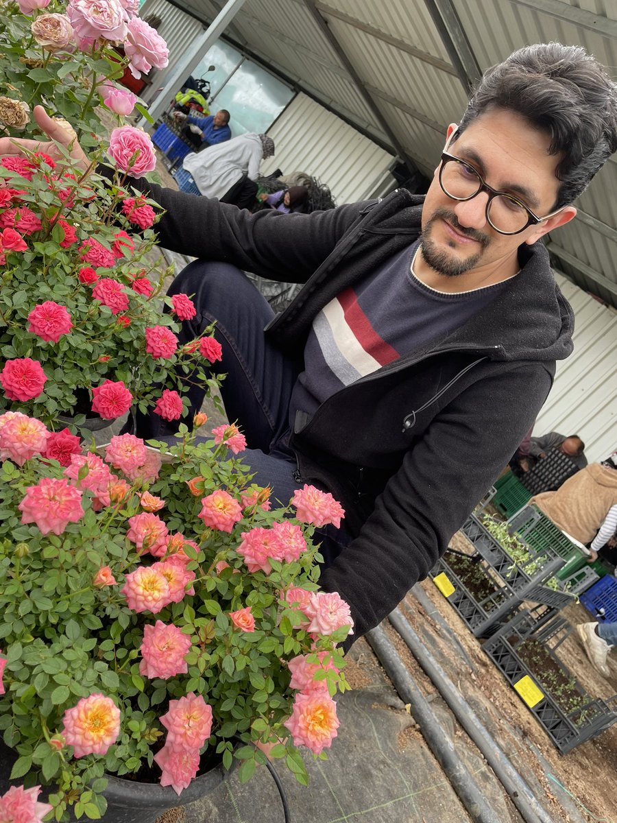 burakaslansoy's tweet photo. elde edilen çeşit adaylarında #seleksiyon çalışmalarına devam 🌹💫[NOT: Çeşitlerin tescil aşaması devam ettiği için şu an satışları yapılamamaktadır❗️] #rosa #gülıslahı #rosebreeding #ornamentalplants #May #mayıs #behappy #goodday #photography #smallblogger #yalova #türkiye (2/2) https://t.co/ckfmXEZkhJ