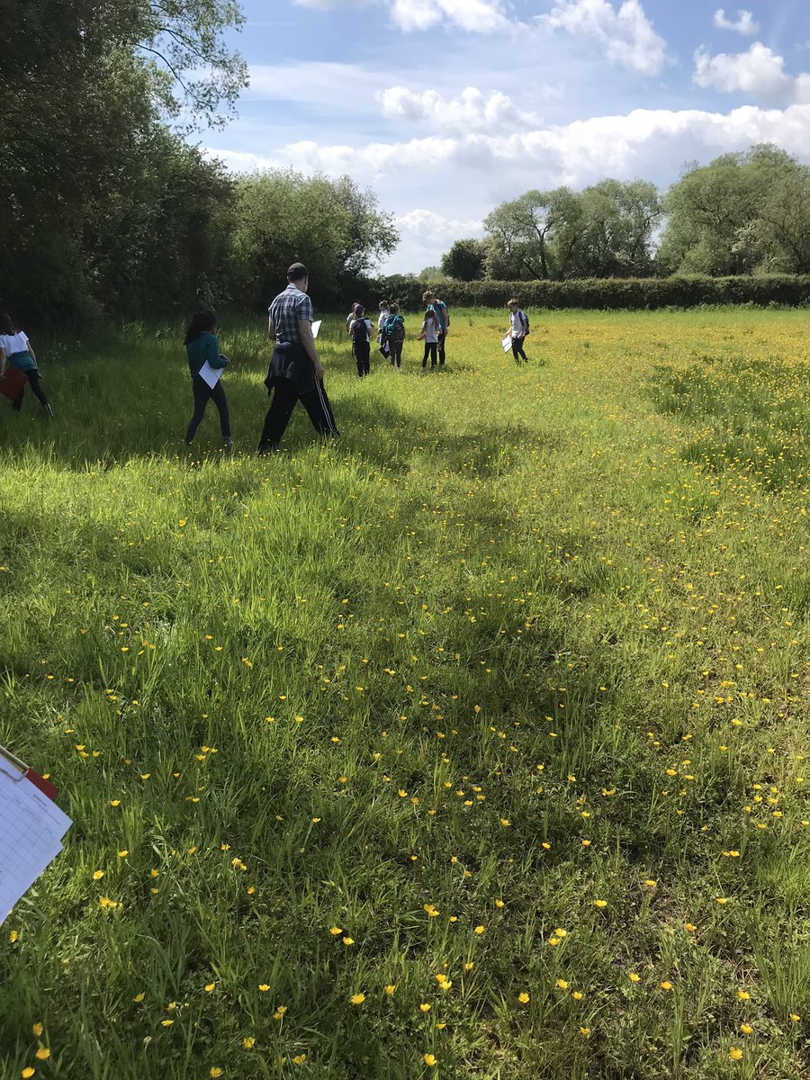 GrasslandsFarm's tweet image. Well we’ve had one busy week! 140 children plus helpers joined us over three days for tours around Grasslands Farm and we we made our first silage of 2023.