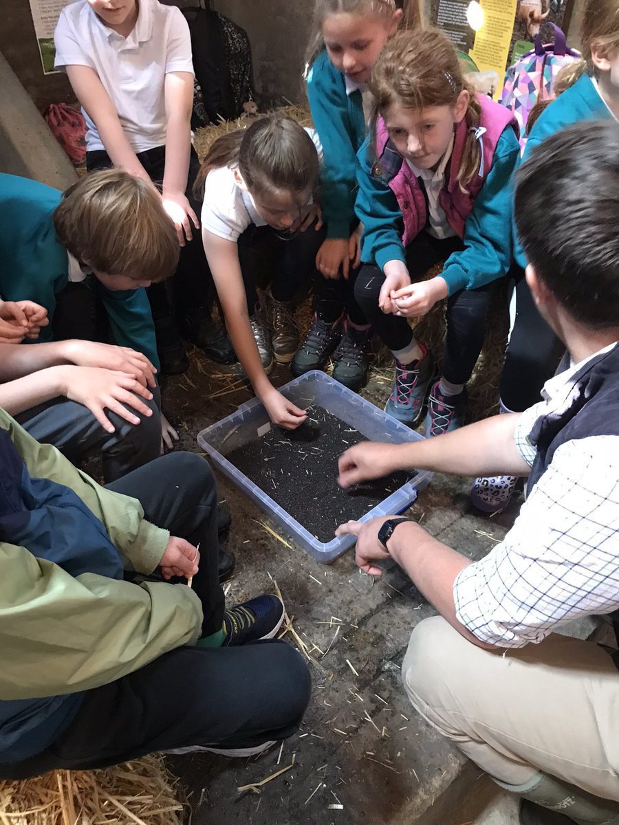 GrasslandsFarm's tweet image. Well we’ve had one busy week! 140 children plus helpers joined us over three days for tours around Grasslands Farm and we we made our first silage of 2023.