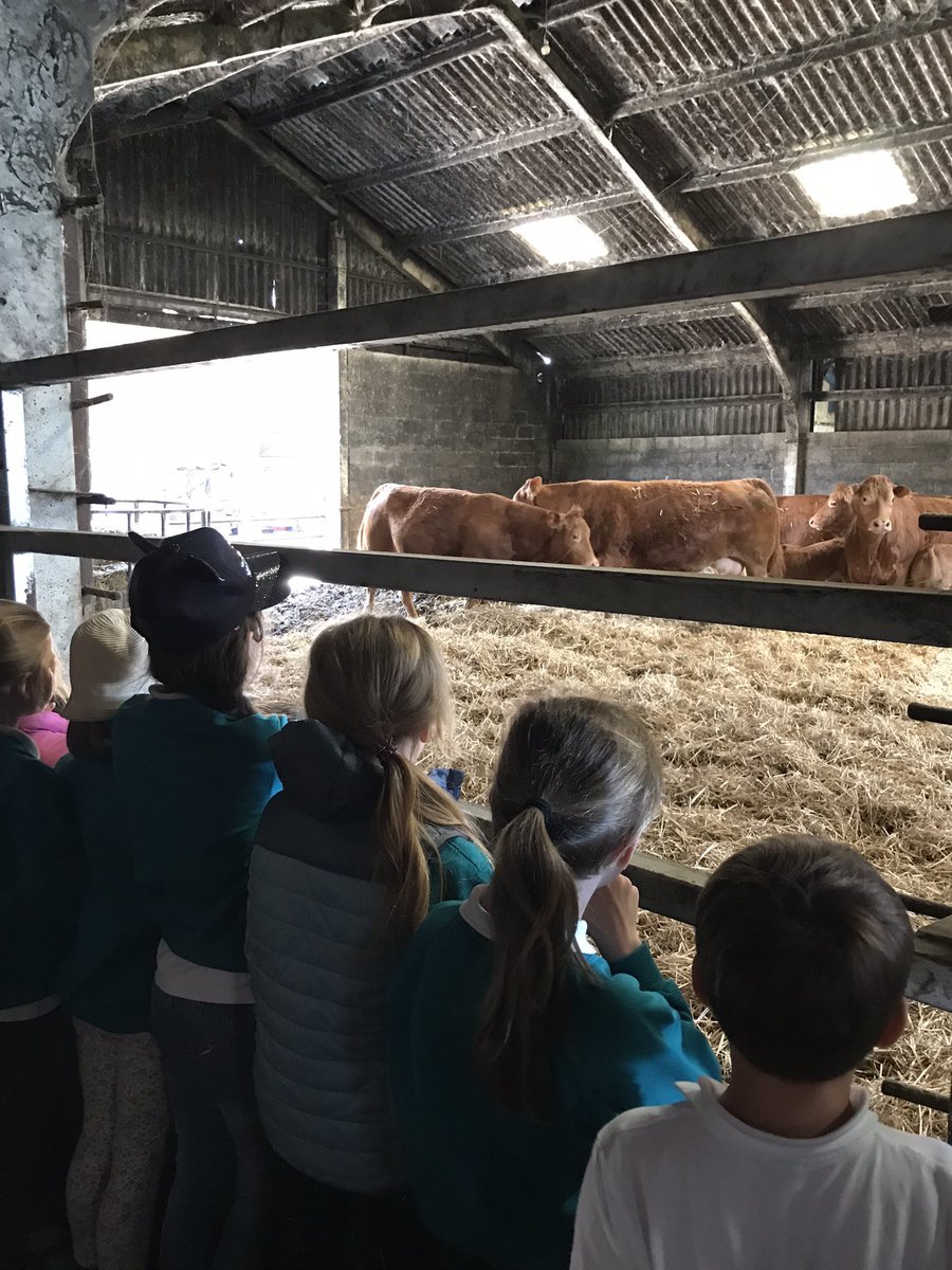 GrasslandsFarm's tweet image. Well we’ve had one busy week! 140 children plus helpers joined us over three days for tours around Grasslands Farm and we we made our first silage of 2023.