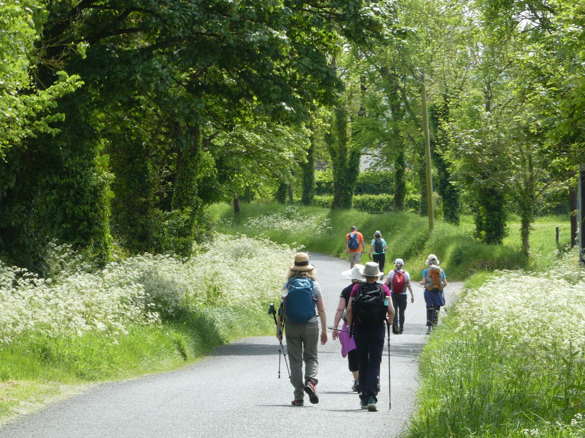 John G O'Dwyer (@johngodwyer1) on Twitter photo Della Kilroy RTE joined us on the <a href="/wexpempilgrim/">Wexford Pembrokeshire Pilgrim Way</a> path earlier this week for a walk through, Co Wexford in glorious weather. What she recorded goes out on the Countrywide show on RTE Radio 1 after 8.10am tomorrow. Della Kilroy RTE joined us on the <a href="/wexpempilgrim/">Wexford Pembrokeshire Pilgrim Way</a> path earlier this week for a walk through, Co Wexford in glorious weather. What she recorded goes out on the Countrywide show on RTE Radio 1 after 8.10am tomorrow.