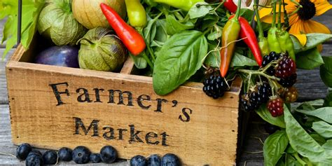 SFrontenac's tweet photo. When: Fridays 3 - 7 Where: 4500 Centennial Park Rd. #Harrowsmith ON., just twenty minutes north of #YGK https://t.co/DIsWVaq9Vf