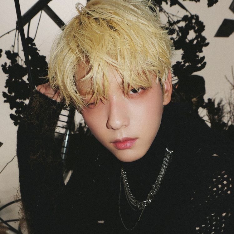 taelovvr's tweet photo. so you’ve never seen him https://t.co/jKcZhoao3g