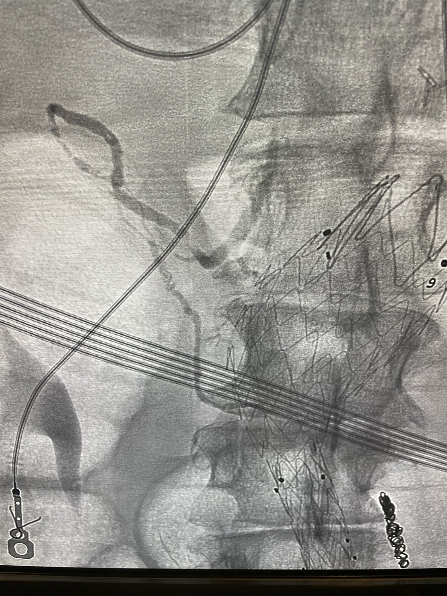 Rahul Patel tweet media