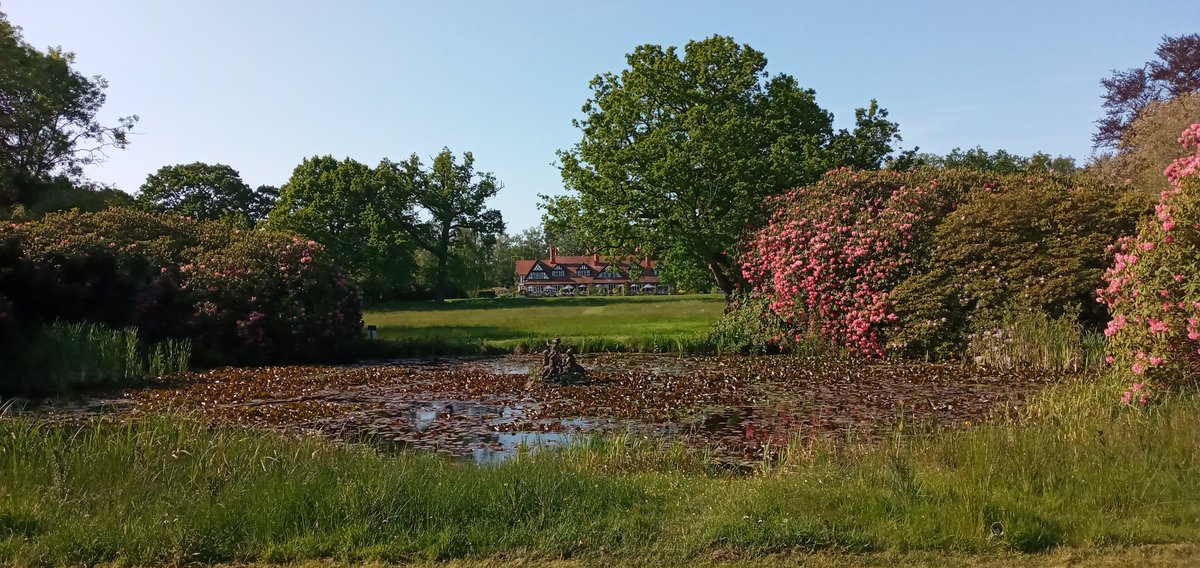Nice Sunny day <a href="/PetwoodHotel/">Petwood Hotel</a>