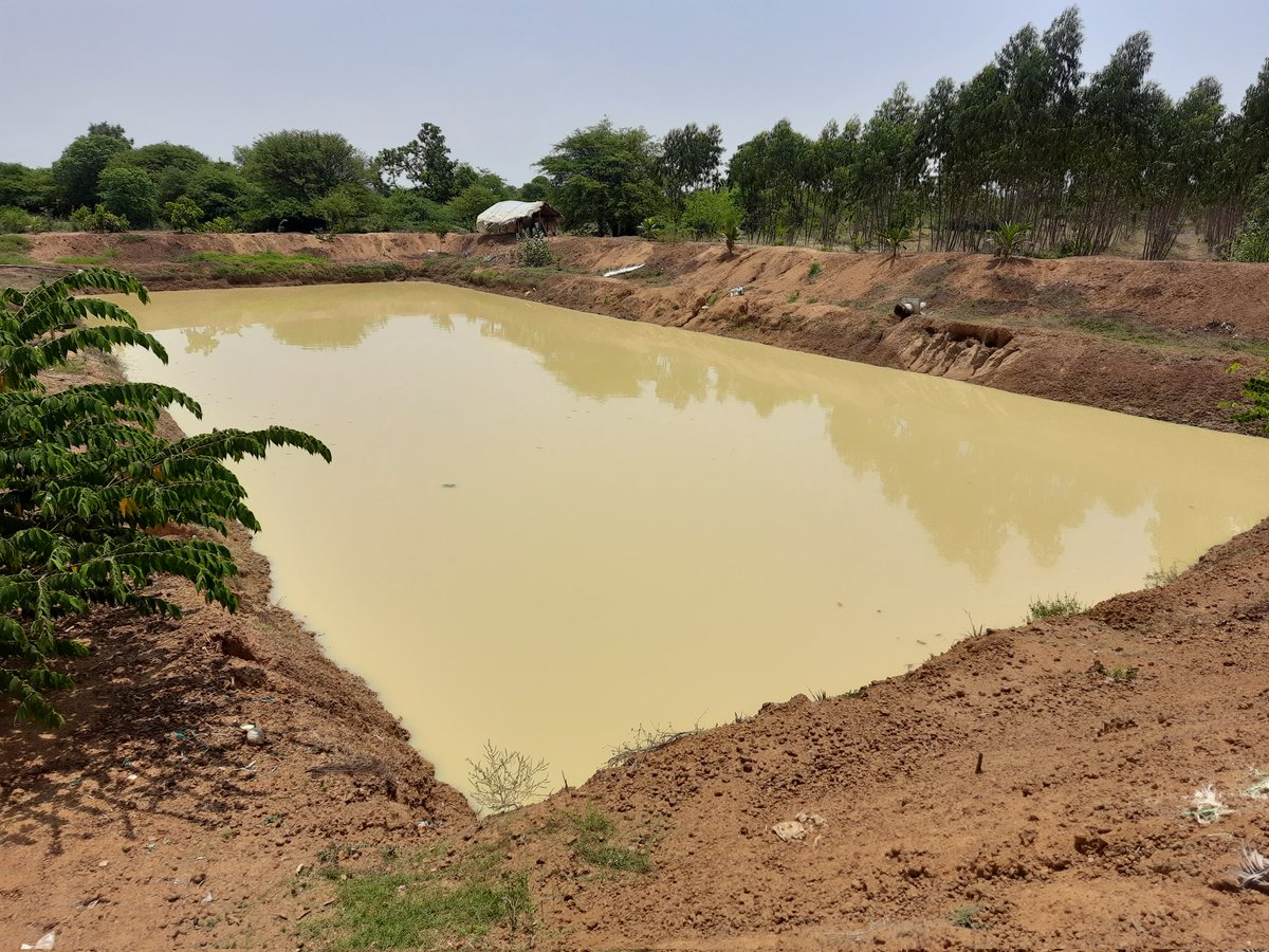 Combination of MI tanks, farm ponds, rejuvenated WHS, OHTs, etc leading a scientific water conservation strategy in #pudukottai. @JalShaktiAbhyan @nwmgoi @archanavarmaIAS @MoJSDoWRRDGR 

@pdkt_collector was advised to review Geo tagging and uploading data of all water bodies.