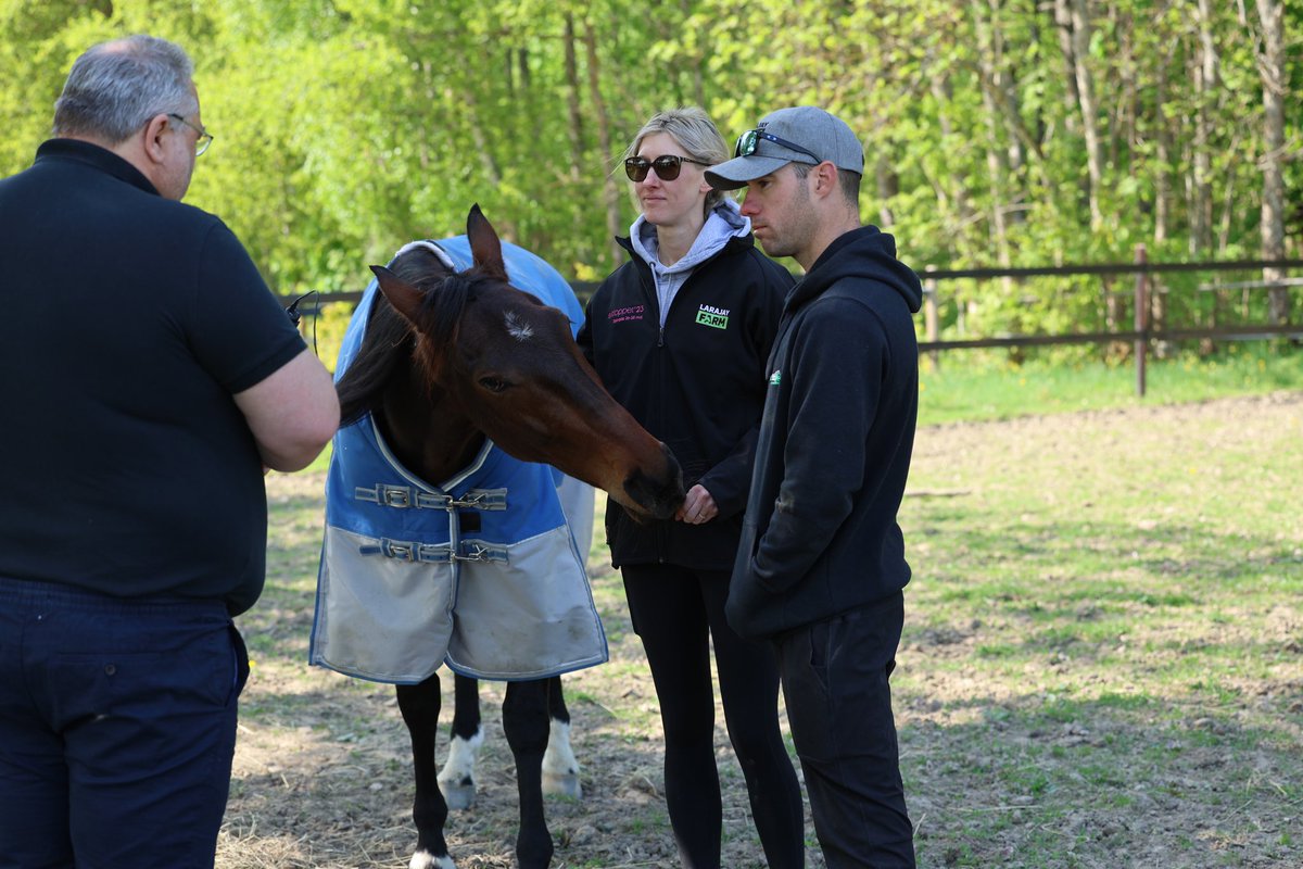 Fikk frisket opp engelsken i dag 😂 Australsk Elitloppsjoker på Stig Hs flotte anlegg.