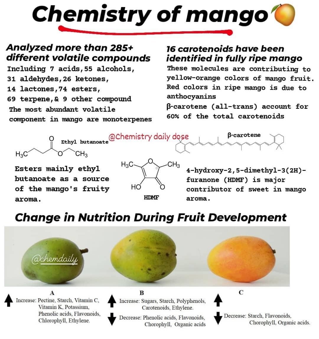 Chemdaily01's tweet photo. Mango fruit has a high nutritional value and health benefits due to important components۔ Mango components can be.....
https://t.co/ASAodD4FkO https://t.co/3lNS600bjv