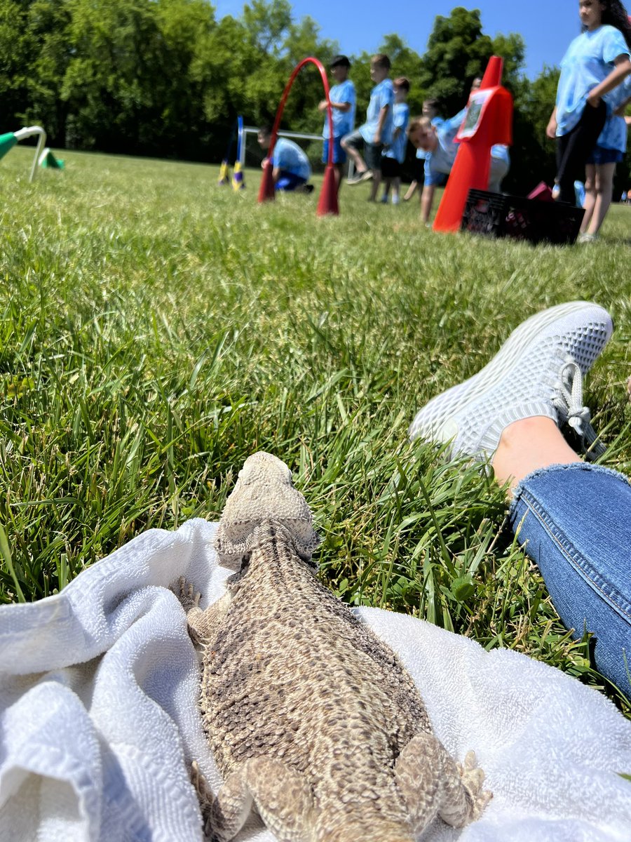 Kristen Lawrence tweet media