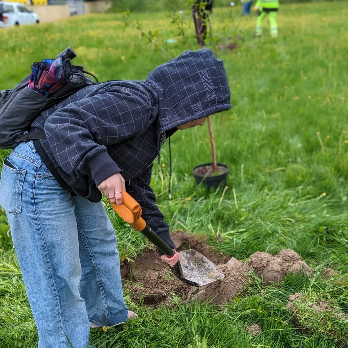 Tänään kasvatettiin taas Jämsän kirsikkapuistoa opiskelijoiden kanssa. Tänä vuonna saatiin apua myös puutarhapuolelta. Kiitos 🤗#kirsikkapuisto #ilmastolukiot #kestäväkehitys #nimikkopuut