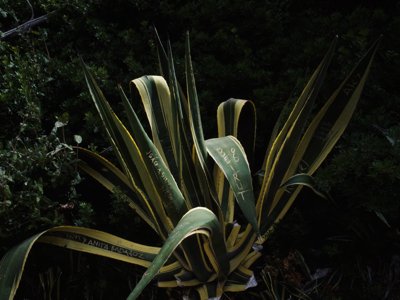 José Maçãs de Carvalho está em exposição no stand da galeria Carlos Carvalho Arte Contemporânea na ARCOLisboa até 28 de Maio. Cordoaria Nacional. José Maçãs de Carvalho is on view in Carlos Carvalho Arte Contemporânea gallery booth at ARCOLisboa until May 28. Cordoaria Nacional.