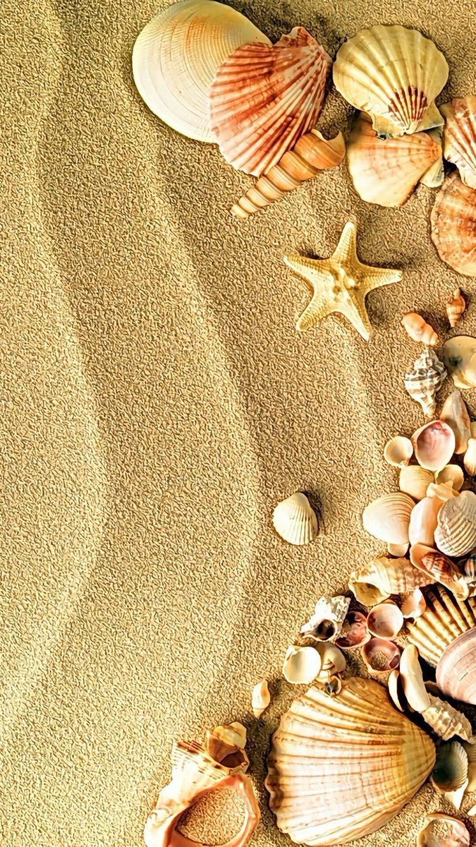 Like seashells, we are all beautiful and unique, each with our own story to tell!