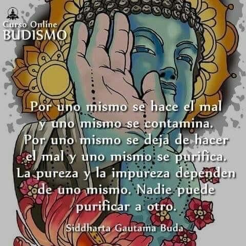 AideRamirez06's tweet photo. https://t.co/OJ0wkorAld