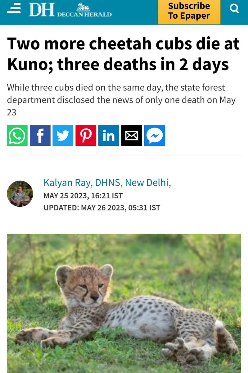 Was #ProjectCheetah another tool for Modi's PR? 
Not surprised. He sacrificed 40 human lives in #PulwamaAttack. 
Cheetah kya cheez hain?!?