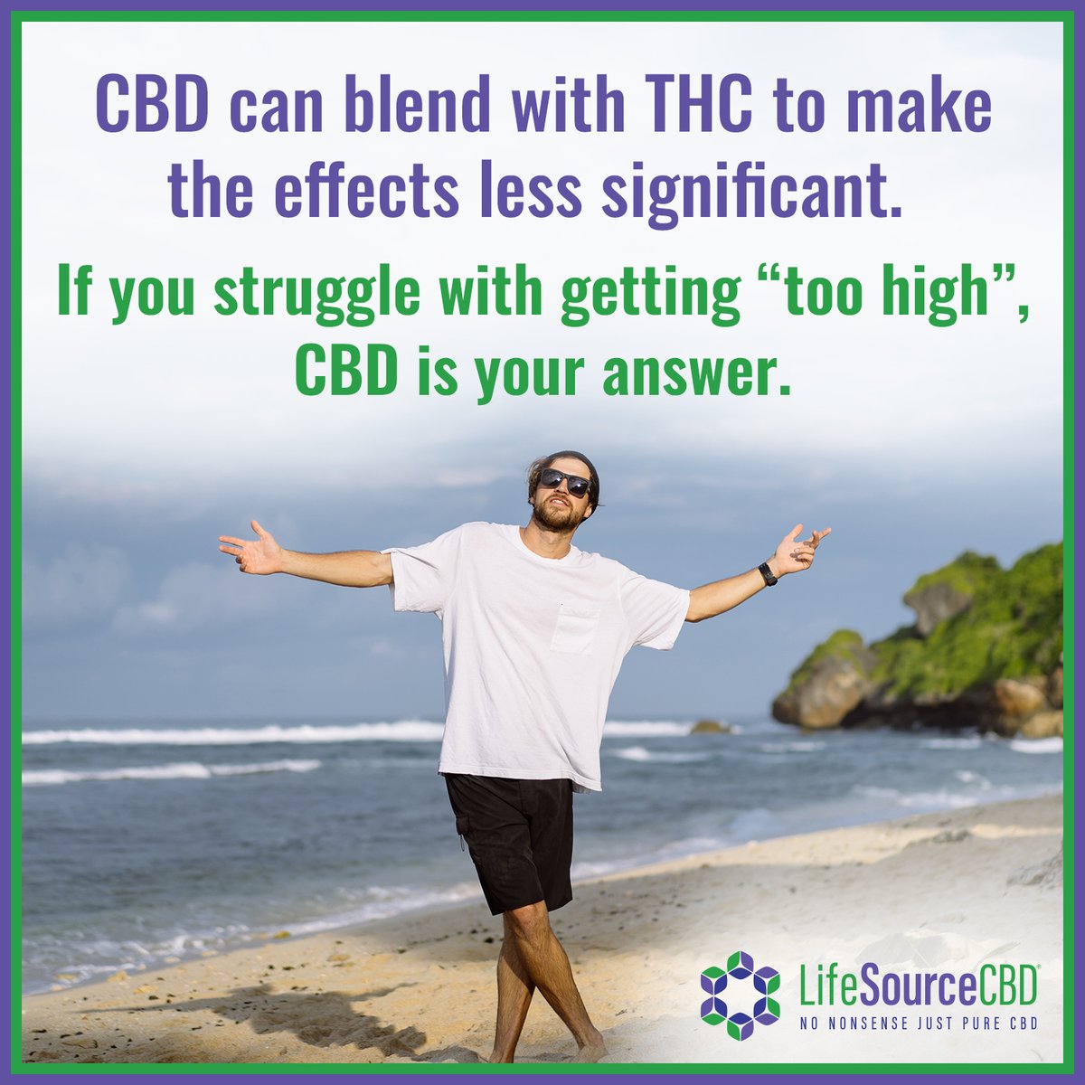 lifesourcecbd's tweet image. If you love THC but struggle with getting 'too high', we've got the perfect solution for you! 💚 When combined with THC, CBD can balance out and lessen the effects, for a more enjoyable and controlled high. Visit: lifesourcecbd.net/shop/.

#cbd #cbdoil #cbdhealth #cbdproducts