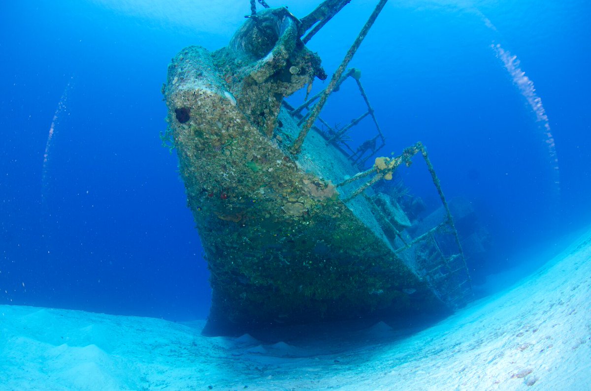 Cayman_Islands's tweet image. Basking in the beauty of the Bluff. Birdwatching at the Parrot Reserve. Discovering sunken treasure. Reveling in the glow of golden hour. Welcome to summer break on Cayman Brac. #Summer2023 #VisitCaymanIslands #CaymanBrac