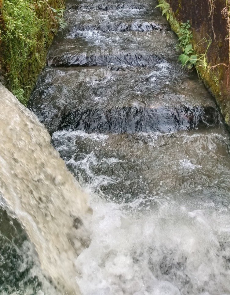 SuizaColombia's tweet photo. Hilo 1/3
#ViernesdeProyecto
En mayo inicia apoyo a Programa Institucional de Monitoreo de la Calidad y Cantidad de Agua (PIRMA) en @Corpocaldas y @CORPOCHIVOR Estructurar, implementar y poner a disposición información y análisis sobre agua, en #Caldas y #Boyacá🤝#ElAguaNosUne https://t.co/tJeIcIhWkN
