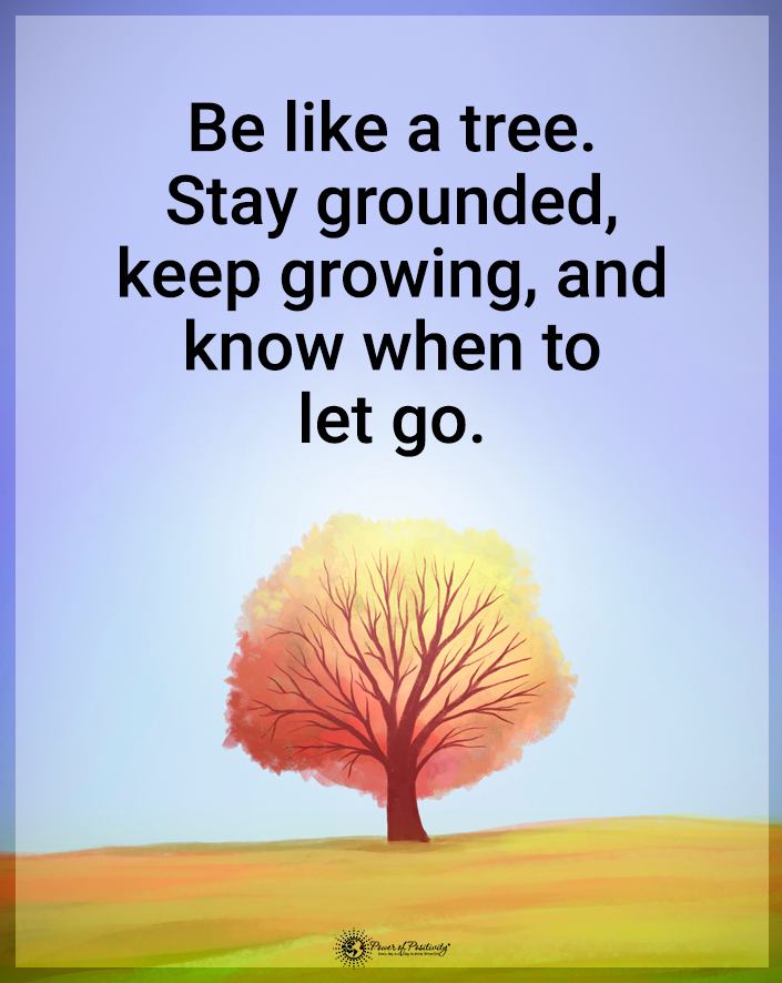 “Be like a tree. Stay grounded, keep growing, and know when to let go.”