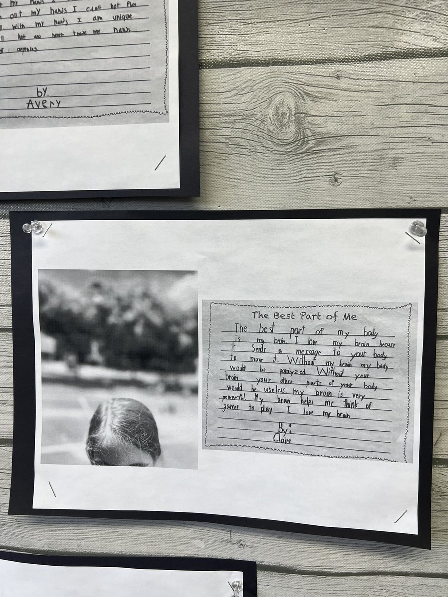 Soraya Binesh tweet media