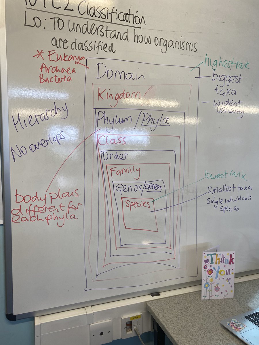 Explaining the idea of a hierarchy in taxonomy