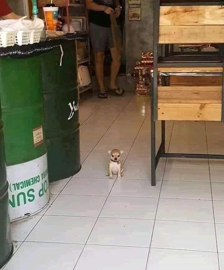 dogonboo's tweet image. พนักงานไม่ต้อนรับลูกค้าเลย