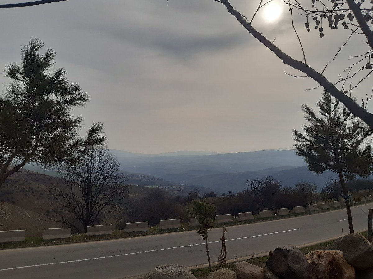 Rauf Nəcəfzadə ♠️ (@unozavr) on Twitter photo 