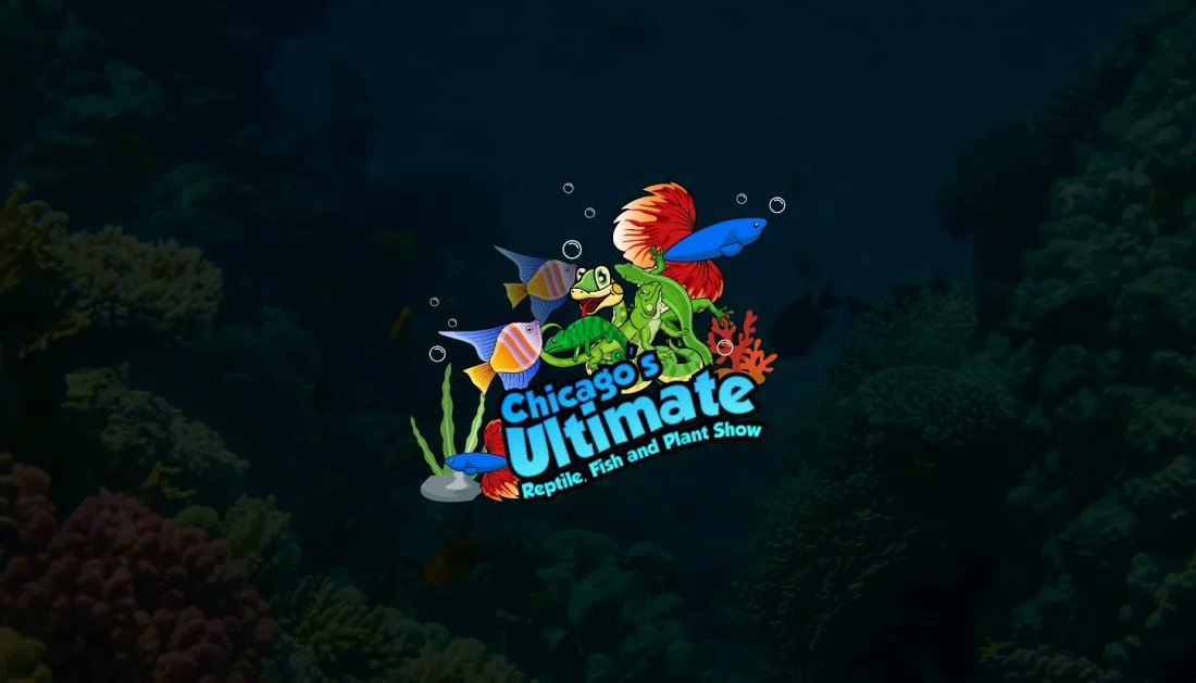 🐍🐠 Get ready to be amazed by the incredible diversity of reptiles, fish, and plants at Chicago's premier show! 🌿🐠🦎

 What secrets of nature will you uncover? 🌍✨

Get Tickets Now: allevents.in/e/800011662299…

 #ChicagoUltimateShow #ReptileFishPlantAdventure #NatureRevelations