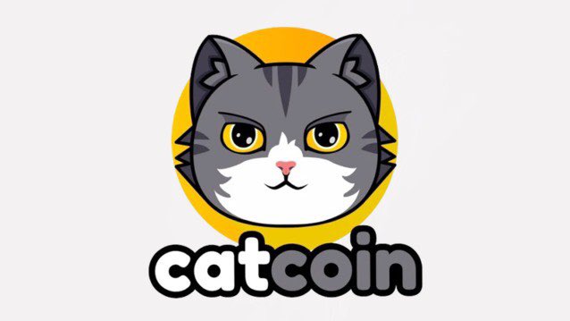 @anndylian @officialcatcoin #catcoin Anndy you know we will never give up ever 💯🫶
