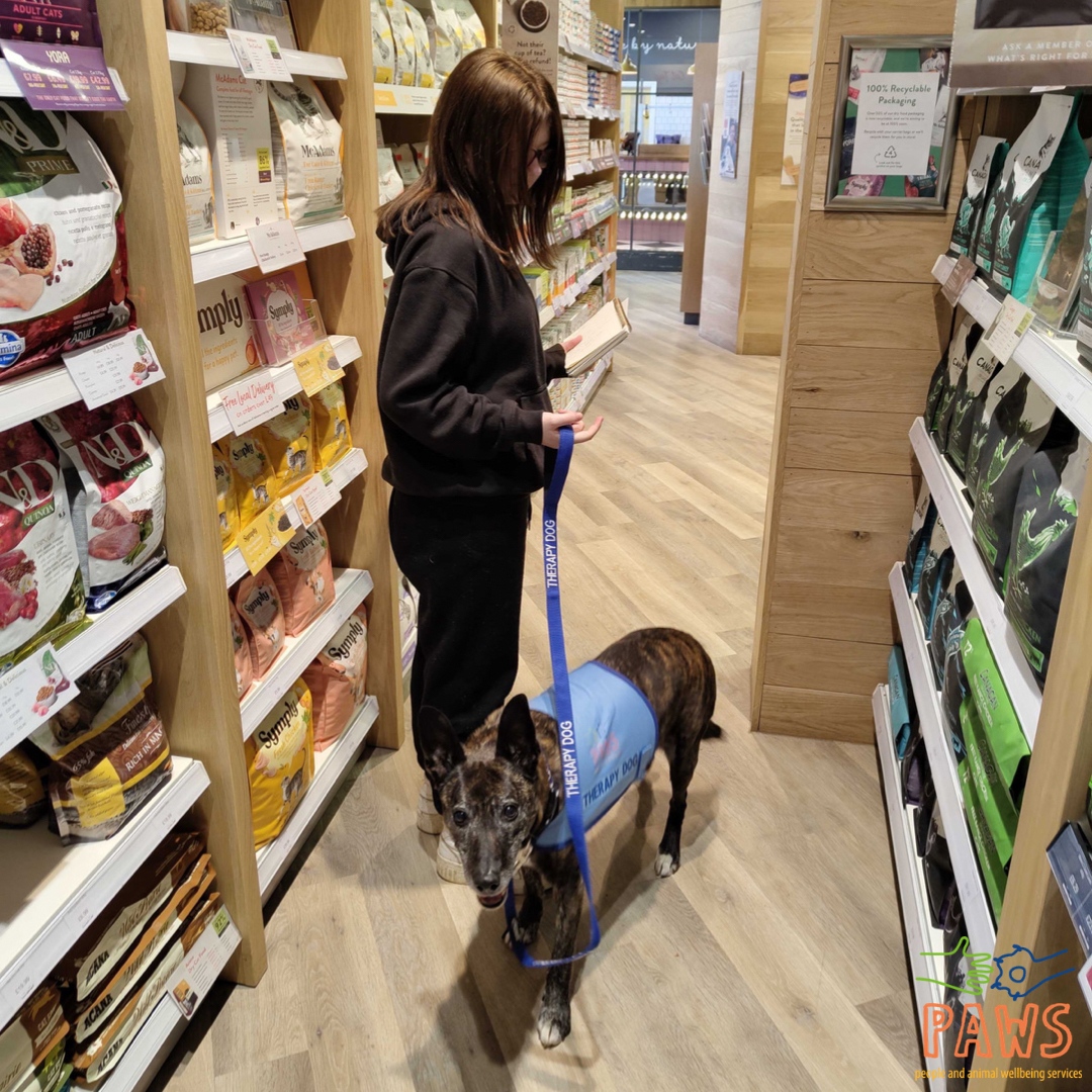 Monty took his young person out to Pets Corner to research the cost of keeping different pets for her Animal Care Short Course!

#animalassistedtherapy #schooldog #animaltherapy #picoftheday #beavers #professionals #counsellors #educators #therapist #therapy #neurodivergence